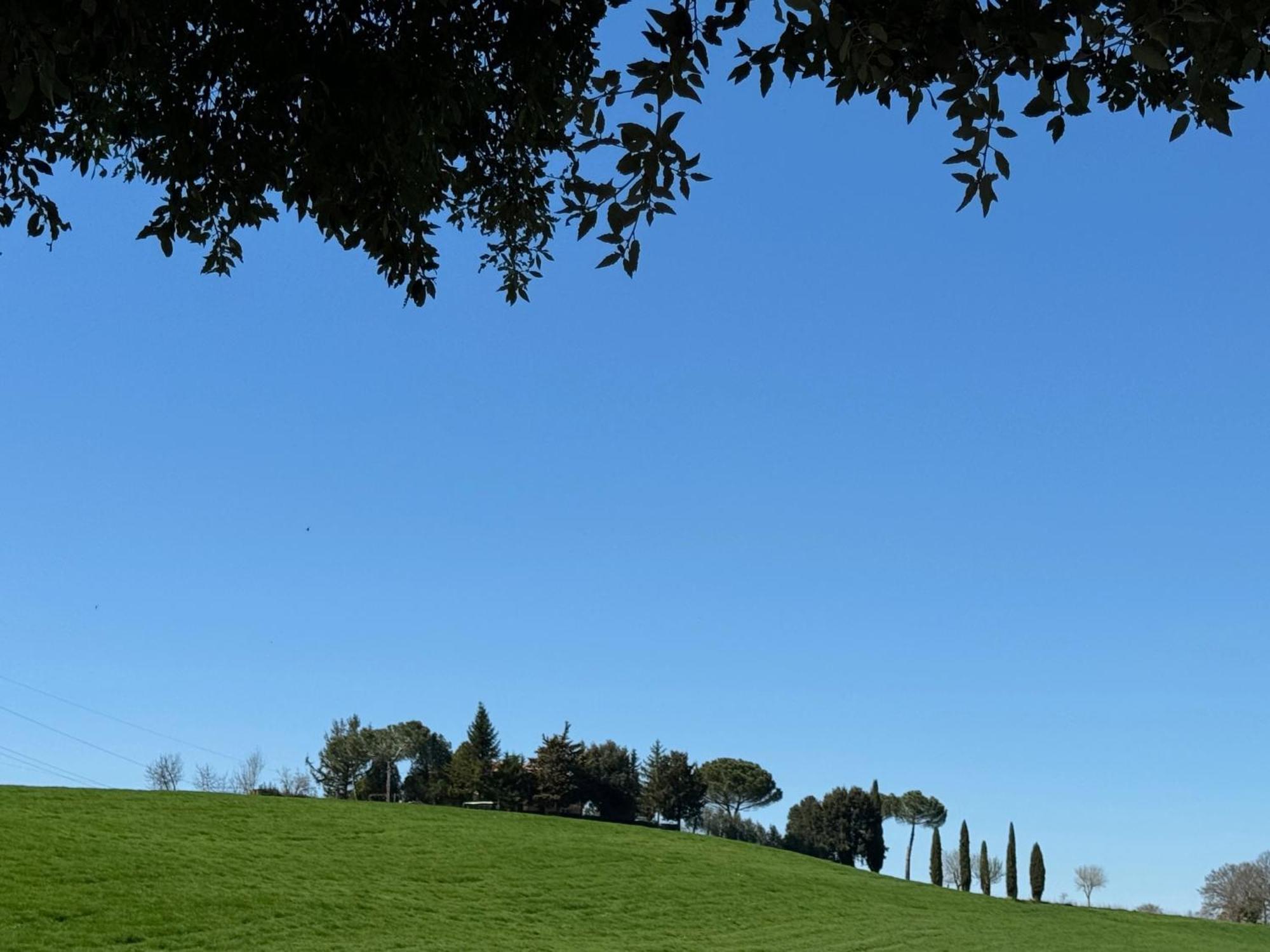 Orvieto Country House Castiglione In Teverina المظهر الخارجي الصورة
