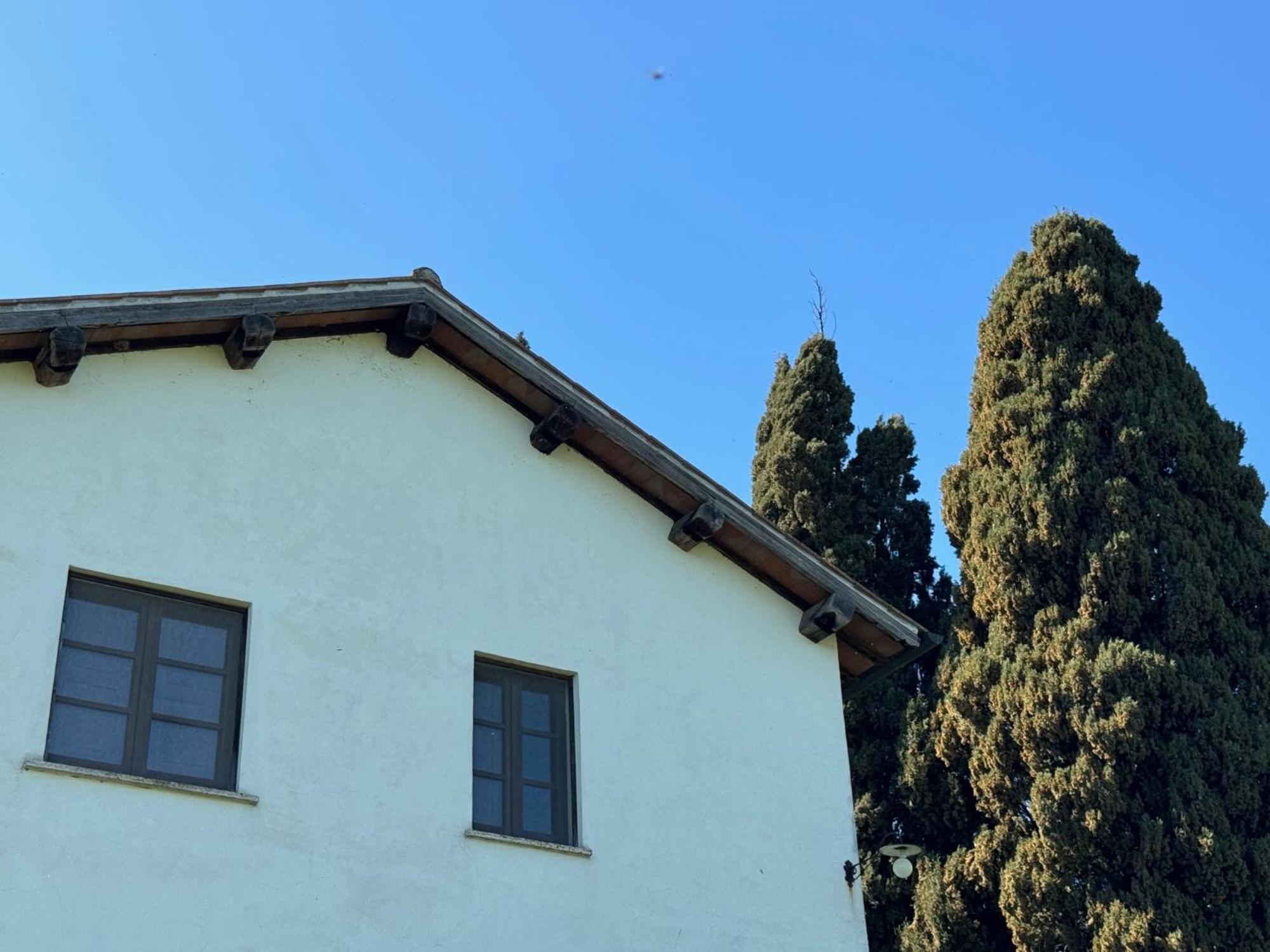 Orvieto Country House Castiglione In Teverina المظهر الخارجي الصورة