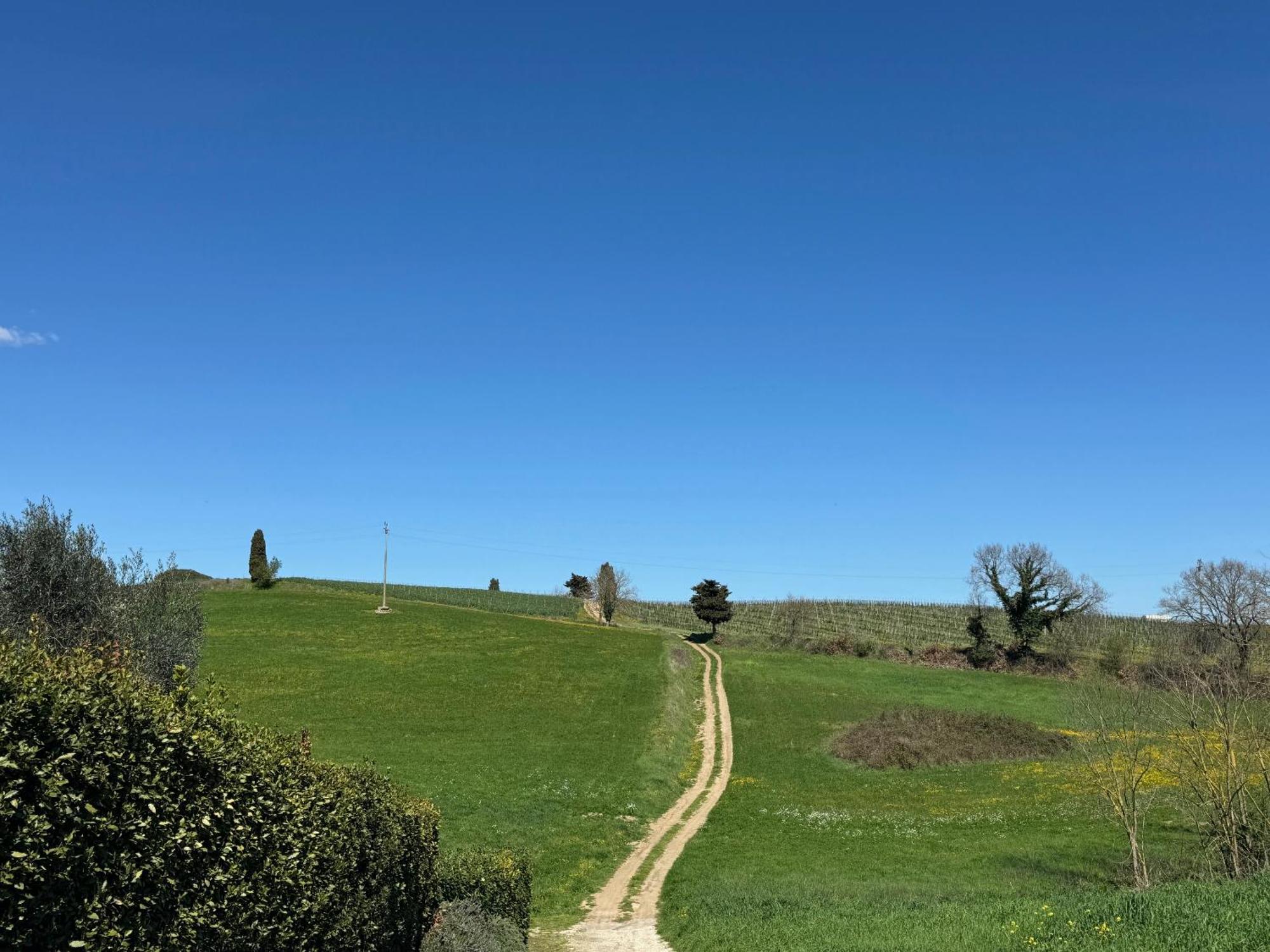 Orvieto Country House Castiglione In Teverina المظهر الخارجي الصورة