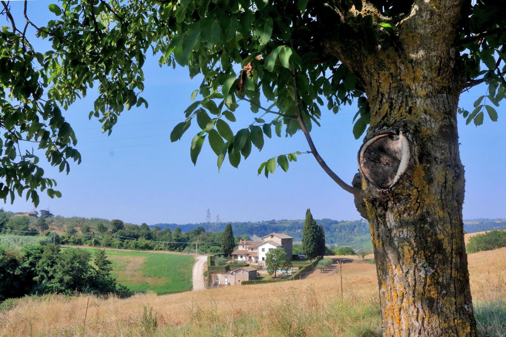 Orvieto Country House Castiglione In Teverina المظهر الخارجي الصورة