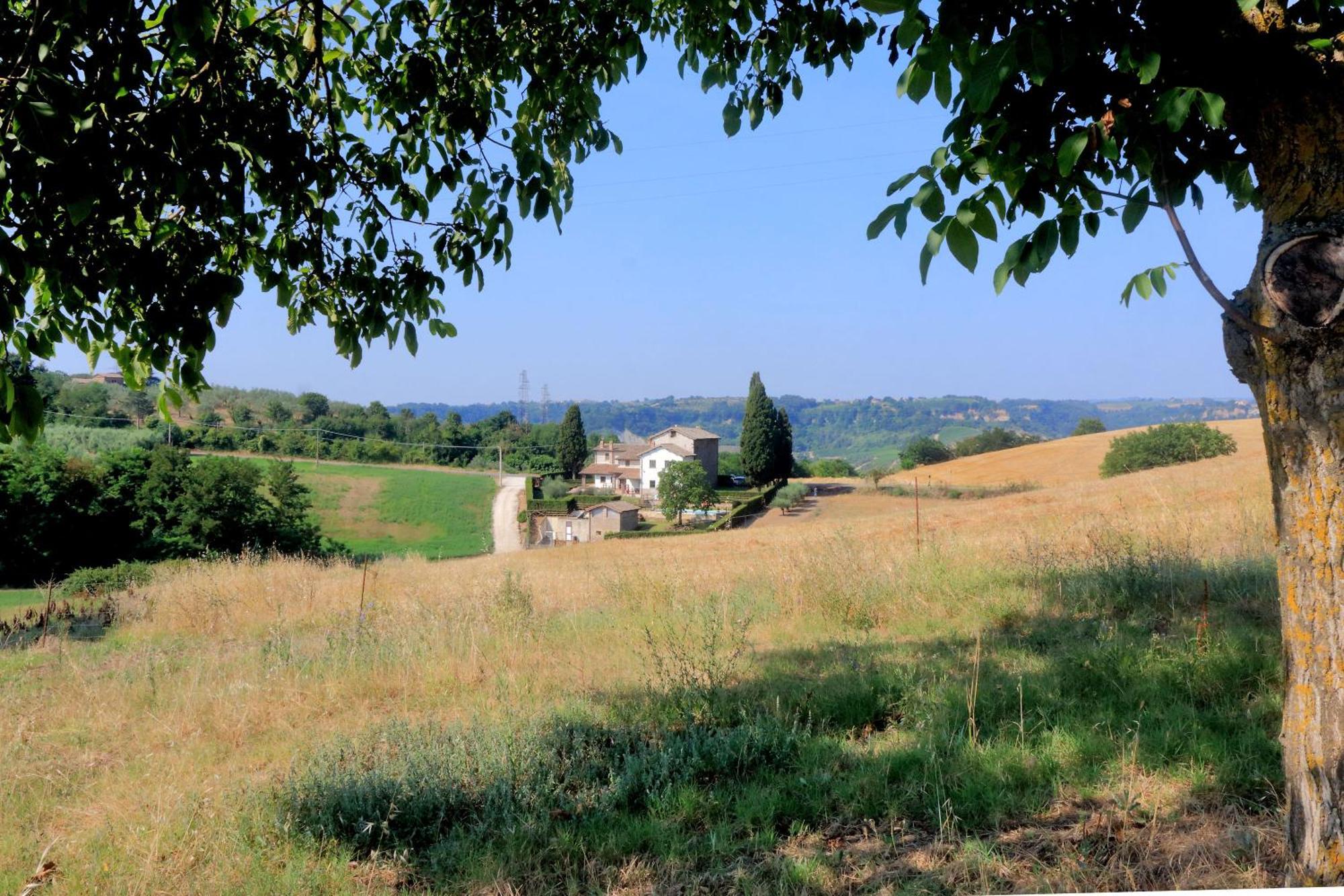 Orvieto Country House Castiglione In Teverina المظهر الخارجي الصورة