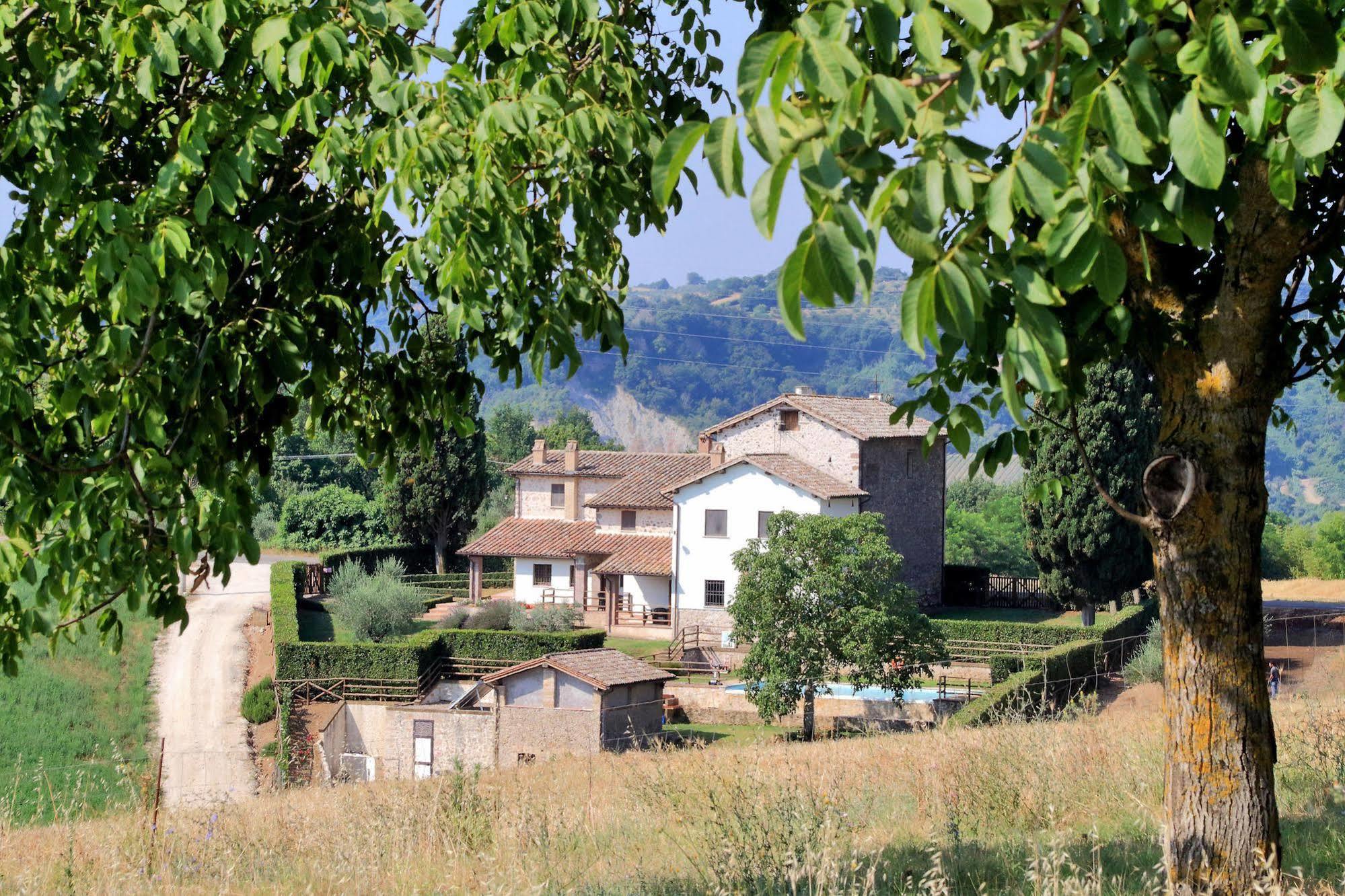 Orvieto Country House Castiglione In Teverina المظهر الخارجي الصورة