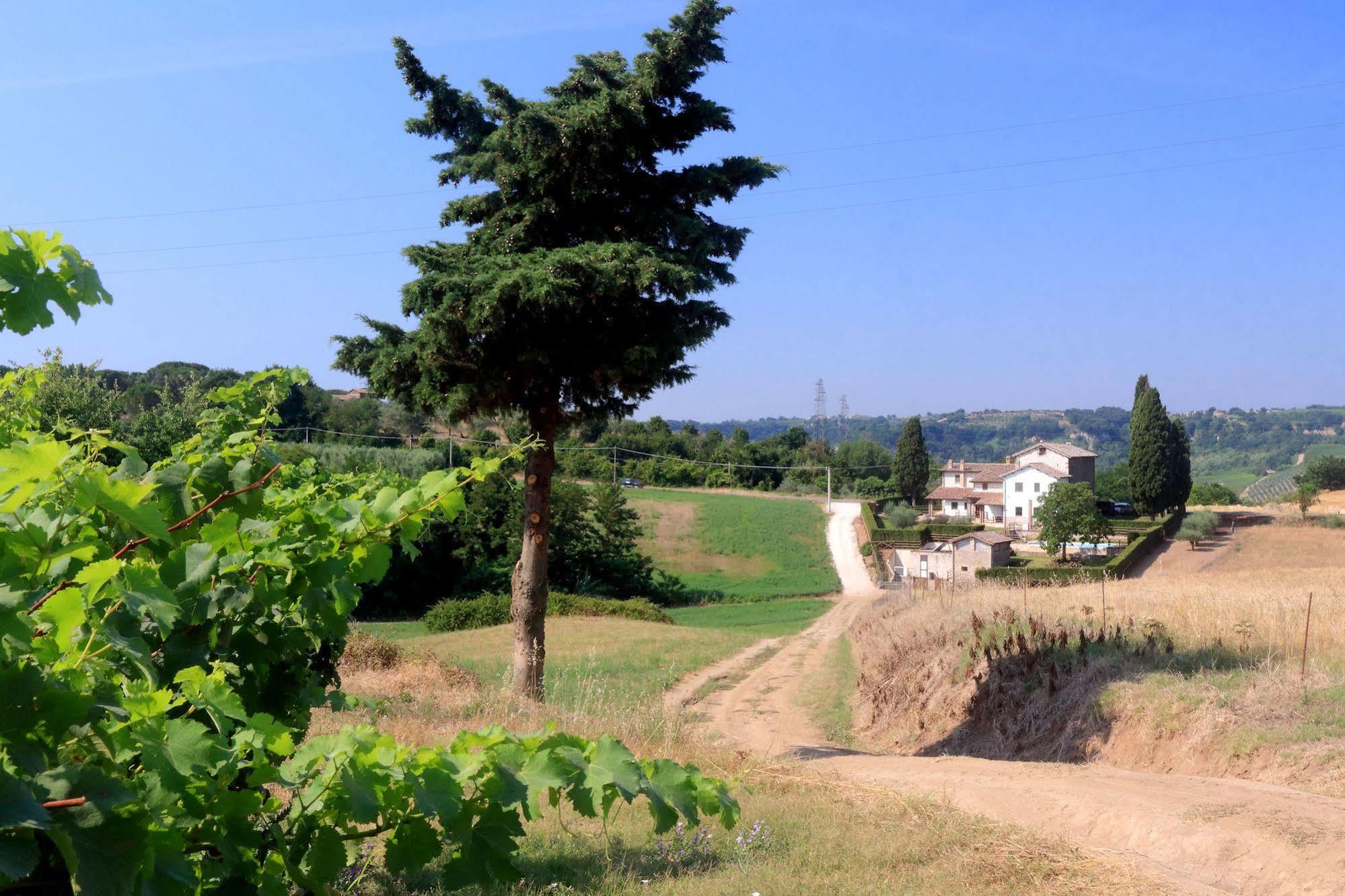 Orvieto Country House Castiglione In Teverina المظهر الخارجي الصورة